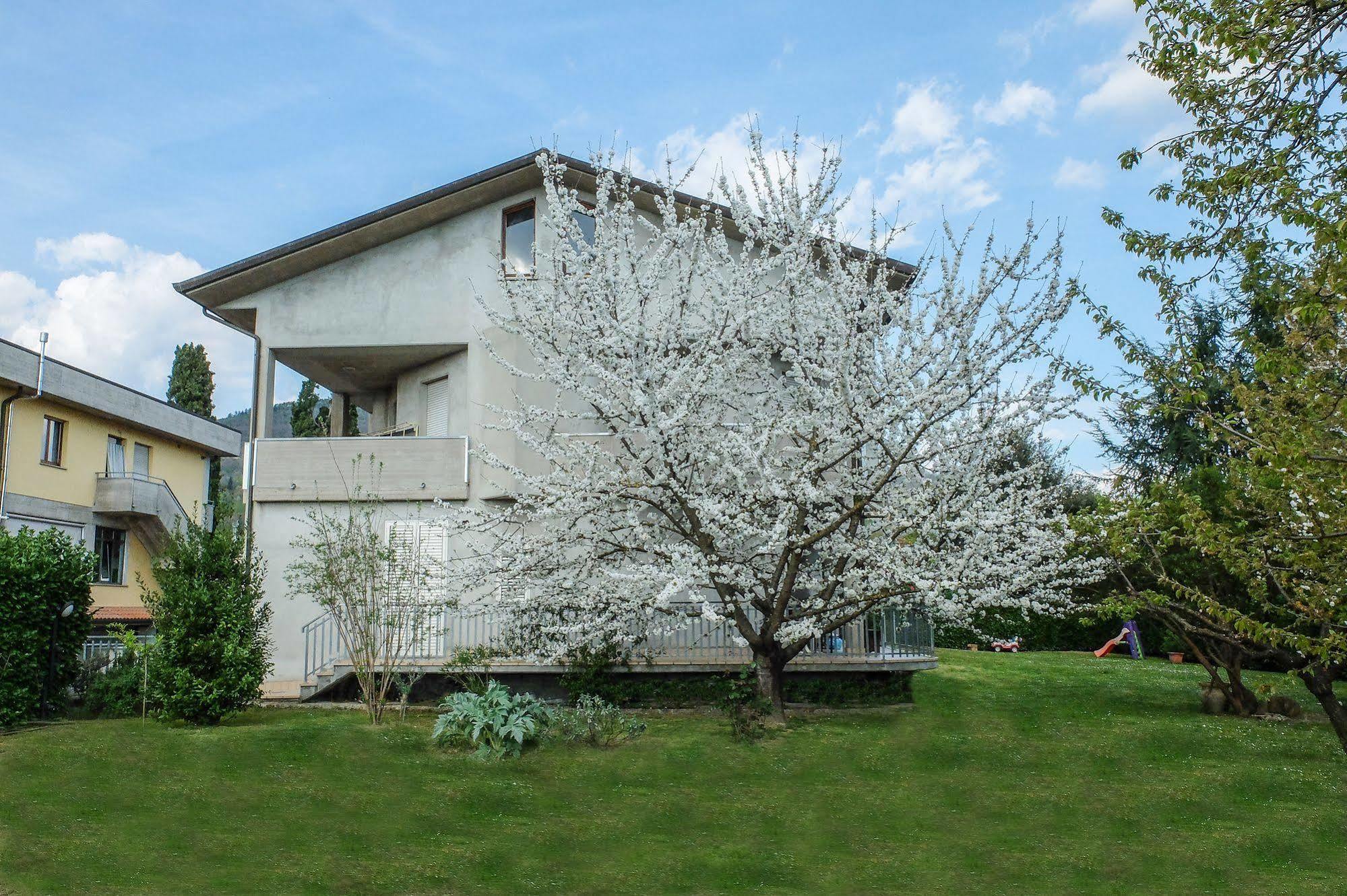 B&B I Fiori San Giustino Eksteriør billede